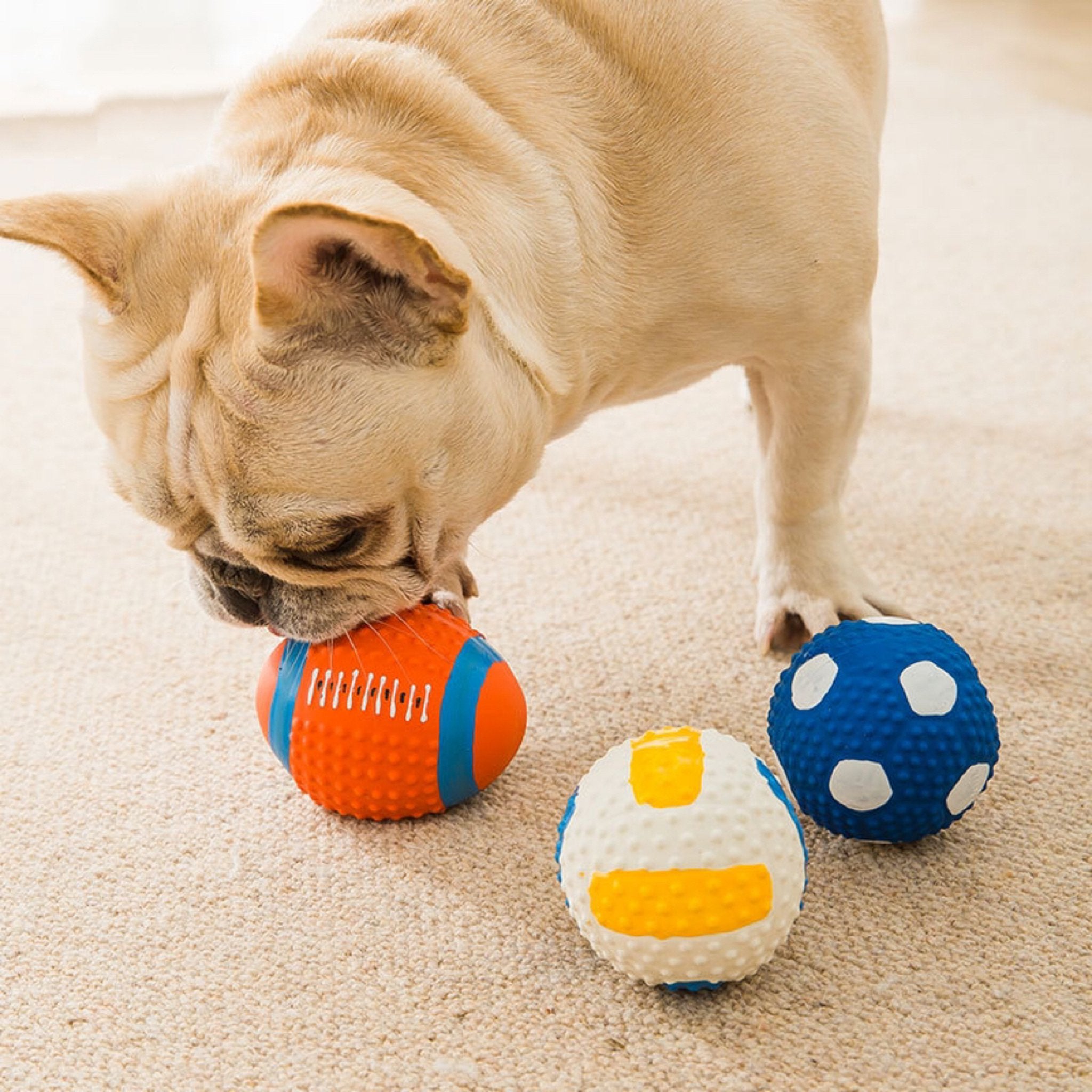 Durable Latex Squeaky Ball Toy – Chew-Resistant Interactive Training Toy for Small Dogs