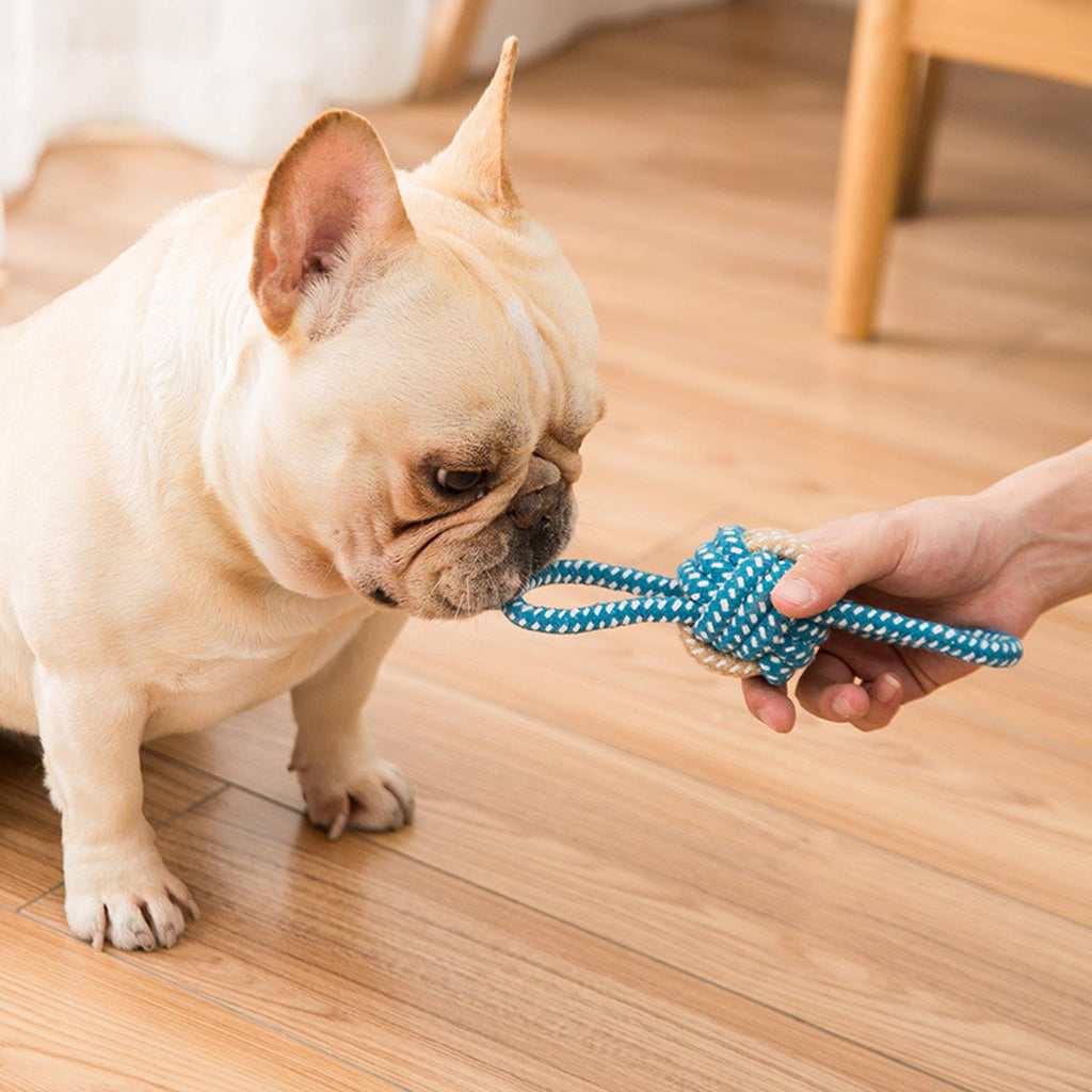 Interactive Tug & Chew Set – Cotton Rope, Teething & Entertainment for Small to Large Dogs