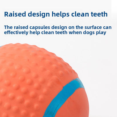 Durable Latex Squeaky Ball Toy – Chew-Resistant Interactive Training Toy for Small Dogs