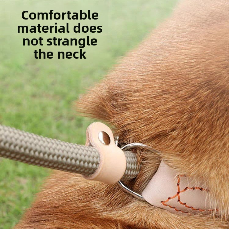 Adjustable Anti-Pull Dog Leash – Braided Nylon Rope, No-Choke, Escape-Proof for Medium & Large Dogs