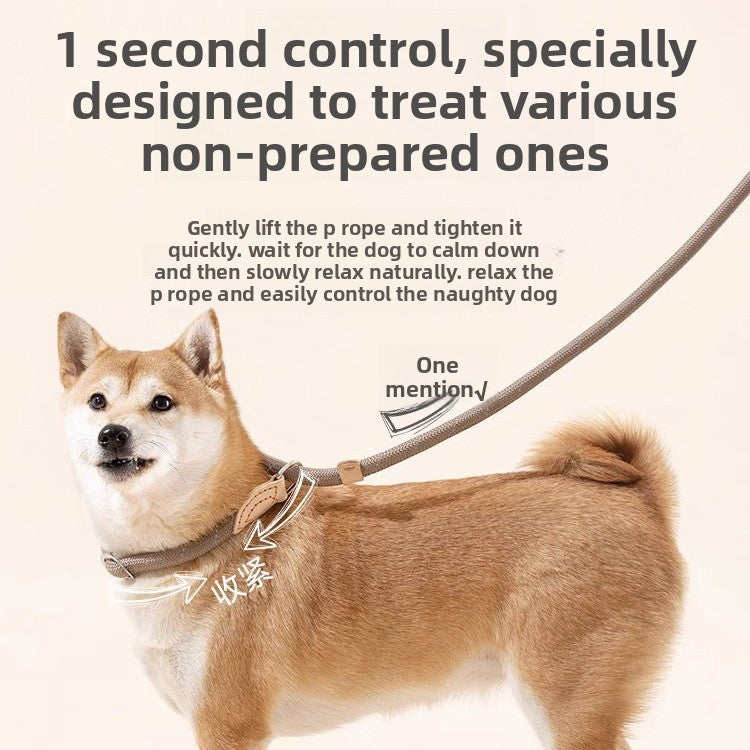 Adjustable Anti-Pull Dog Leash – Braided Nylon Rope, No-Choke, Escape-Proof for Medium & Large Dogs