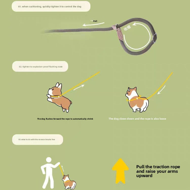 Adjustable Anti-Pull Dog Leash – Braided Nylon Rope, No-Choke, Escape-Proof for Medium & Large Dogs