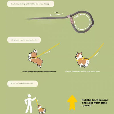 Adjustable Anti-Pull Dog Leash – Braided Nylon Rope, No-Choke, Escape-Proof for Medium & Large Dogs