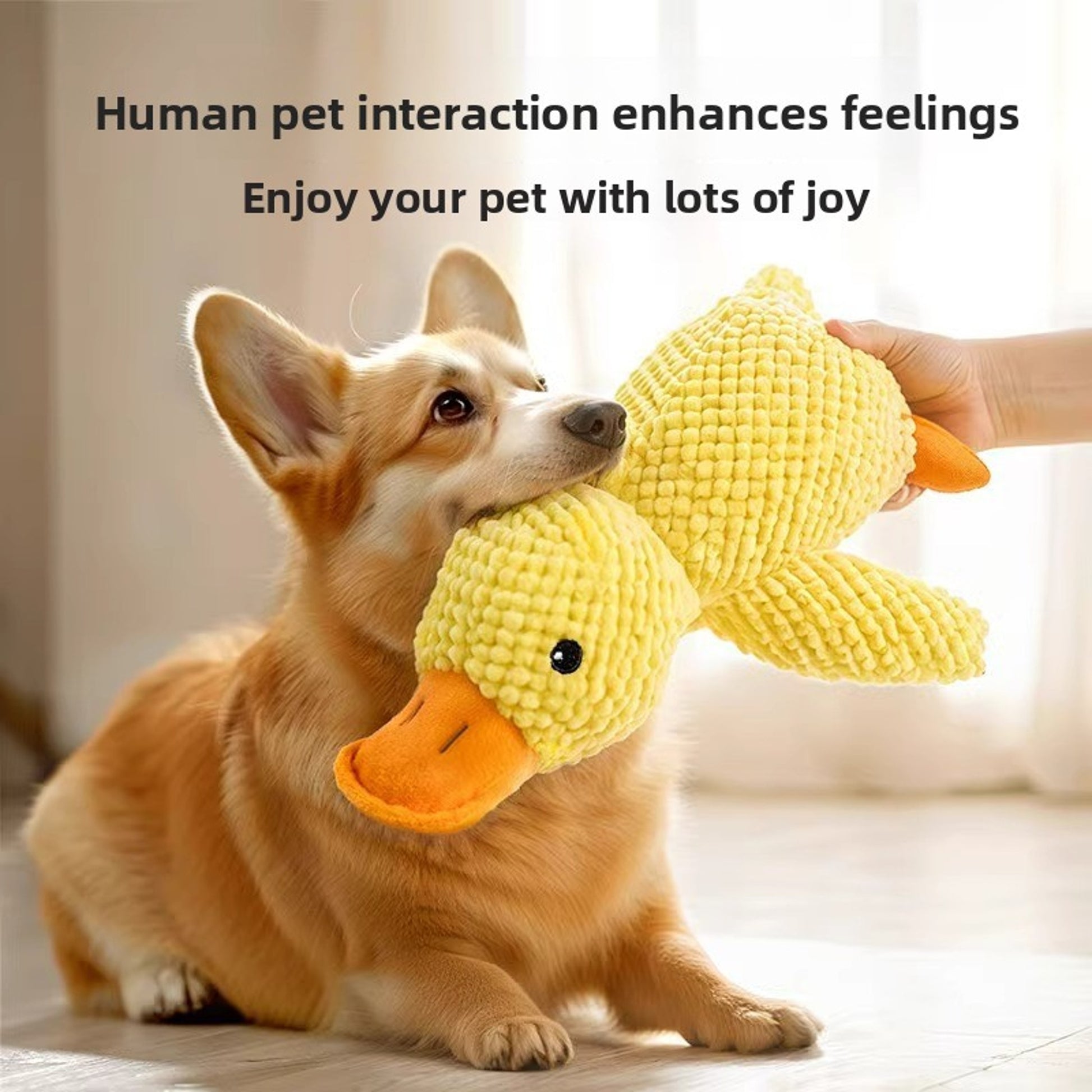 Squeaky Duck Plush Toy – Soft Fabric, Sound-Making, for Small & Medium Dogs