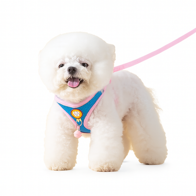No-Pull Cooling Dog Harness – Breathable Mesh, Escape-Proof for Small to Medium Dogs