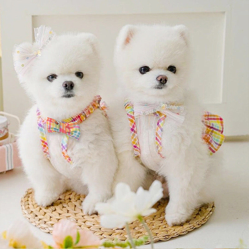 Rainbow Plaid Dog Dress – Lightweight Cotton, Stylish Comfort for Small Dogs