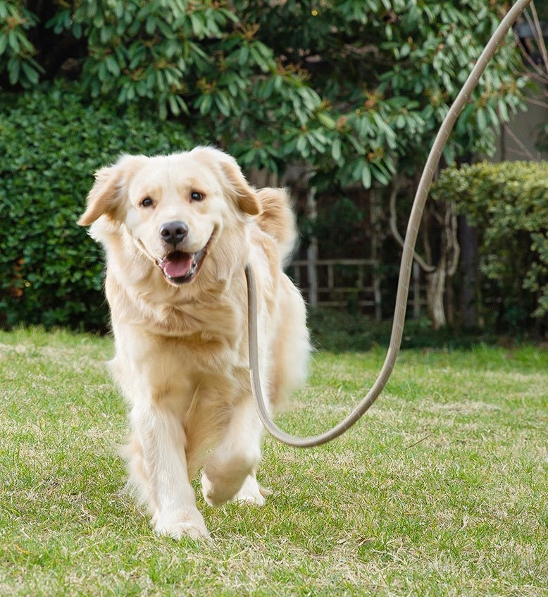 Adjustable Anti-Pull Dog Leash – Braided Nylon Rope, No-Choke, Escape-Proof for Medium & Large Dogs