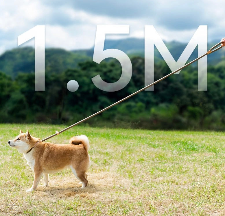 Adjustable Anti-Pull Dog Leash – Braided Nylon Rope, No-Choke, Escape-Proof for Medium & Large Dogs