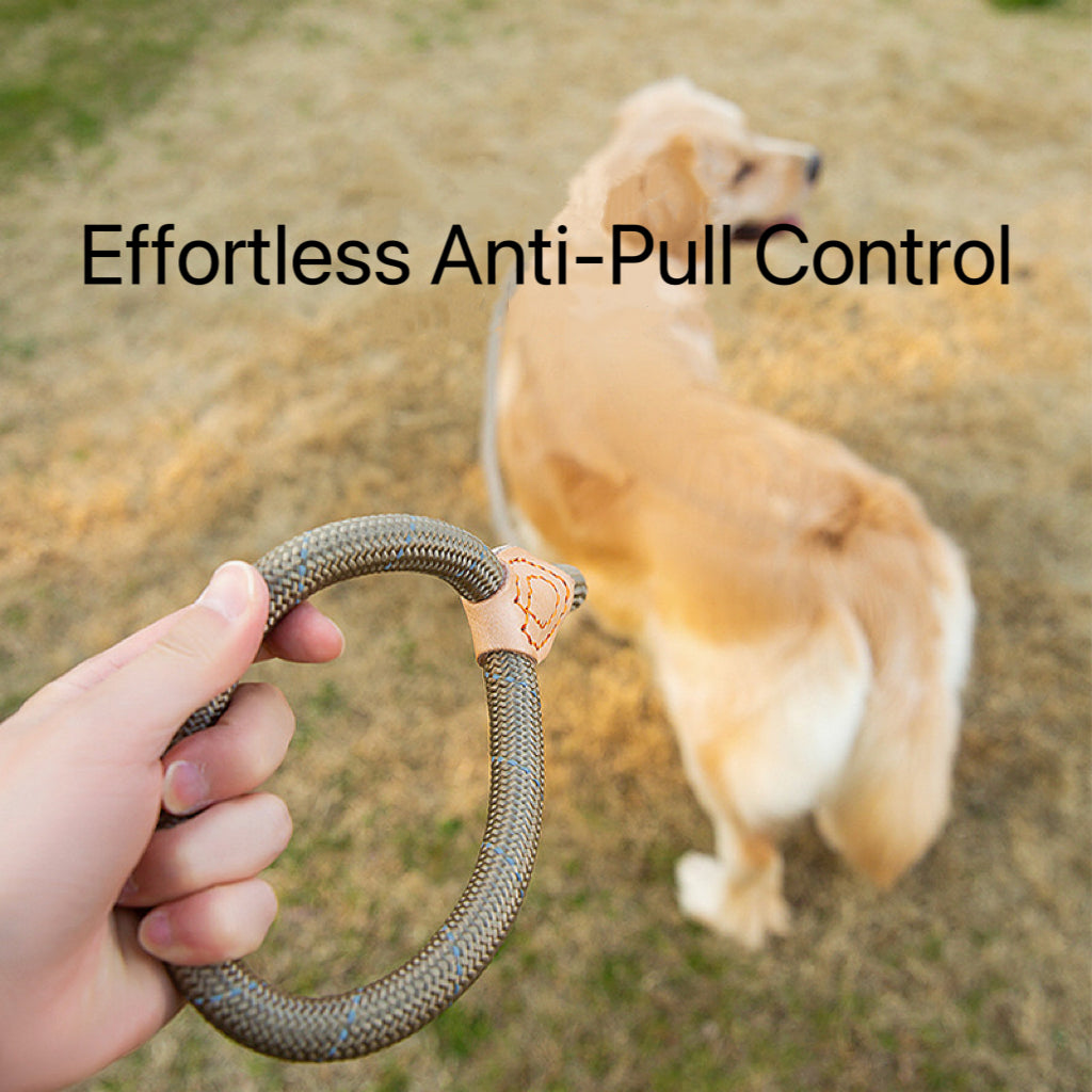 Adjustable Anti-Pull Dog Leash – Braided Nylon Rope, No-Choke, Escape-Proof for Medium & Large Dogs