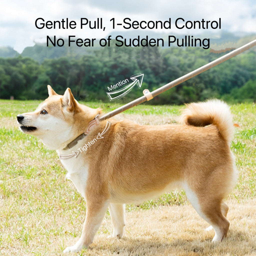 Adjustable Anti-Pull Dog Leash – Braided Nylon Rope, No-Choke, Escape-Proof for Medium & Large Dogs