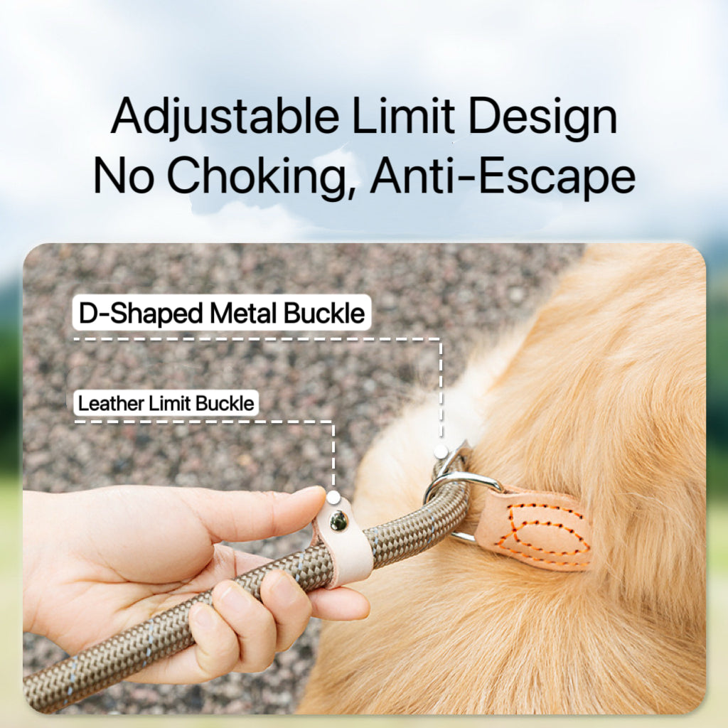 Adjustable Anti-Pull Dog Leash – Braided Nylon Rope, No-Choke, Escape-Proof for Medium & Large Dogs