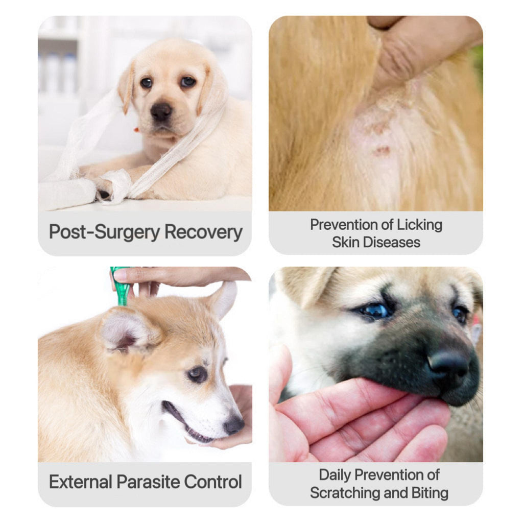 Flexible Elizabeth Cone Collar – Soft TPU, Anti-Lick Recovery Shield for Cats & Dogs