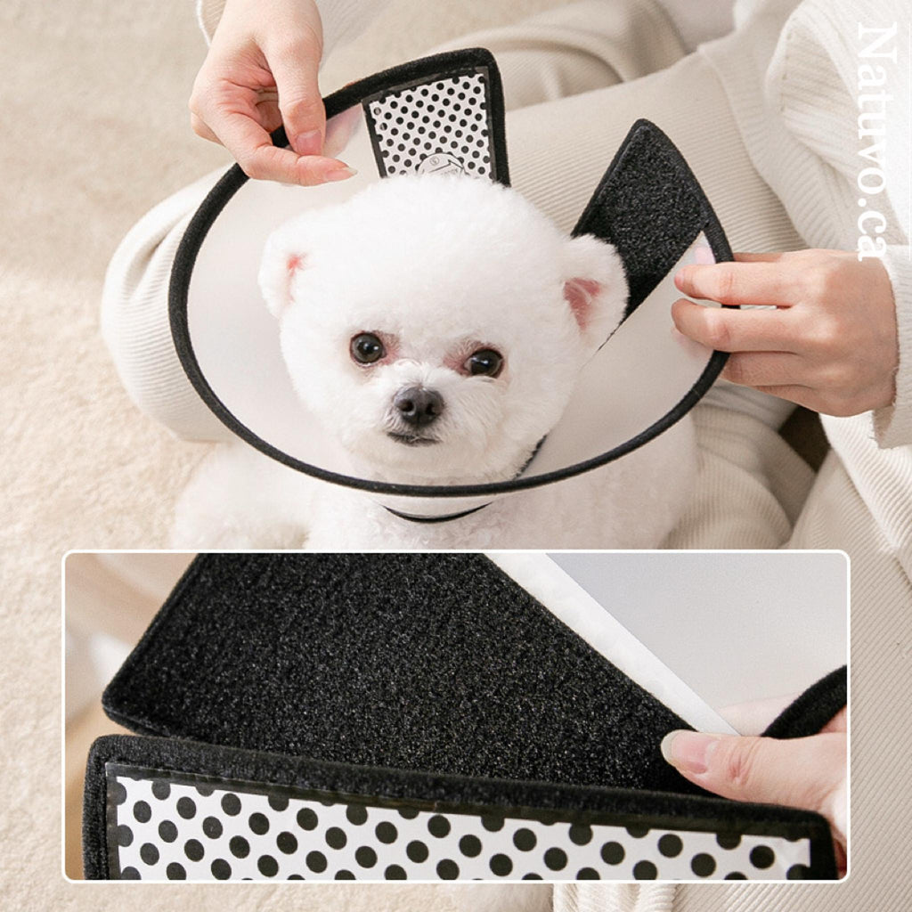 Flexible Elizabeth Cone Collar – Soft TPU, Anti-Lick Recovery Shield for Cats & Dogs