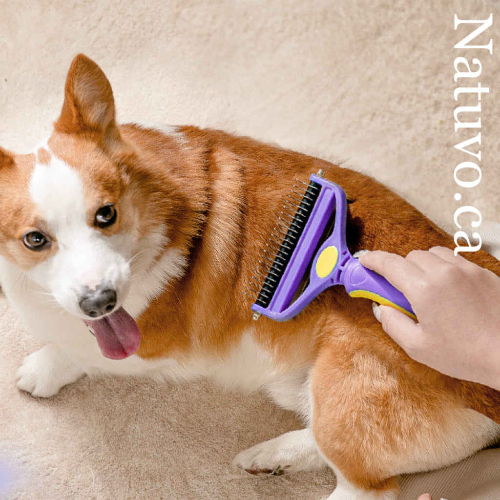 2-in-1 Detangling & Shedding Comb – Stainless Steel Grooming Brush for Dogs & Cats