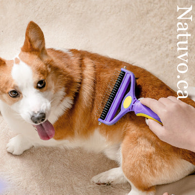 2-in-1 Detangling & Shedding Comb – Stainless Steel Grooming Brush for Dogs & Cats