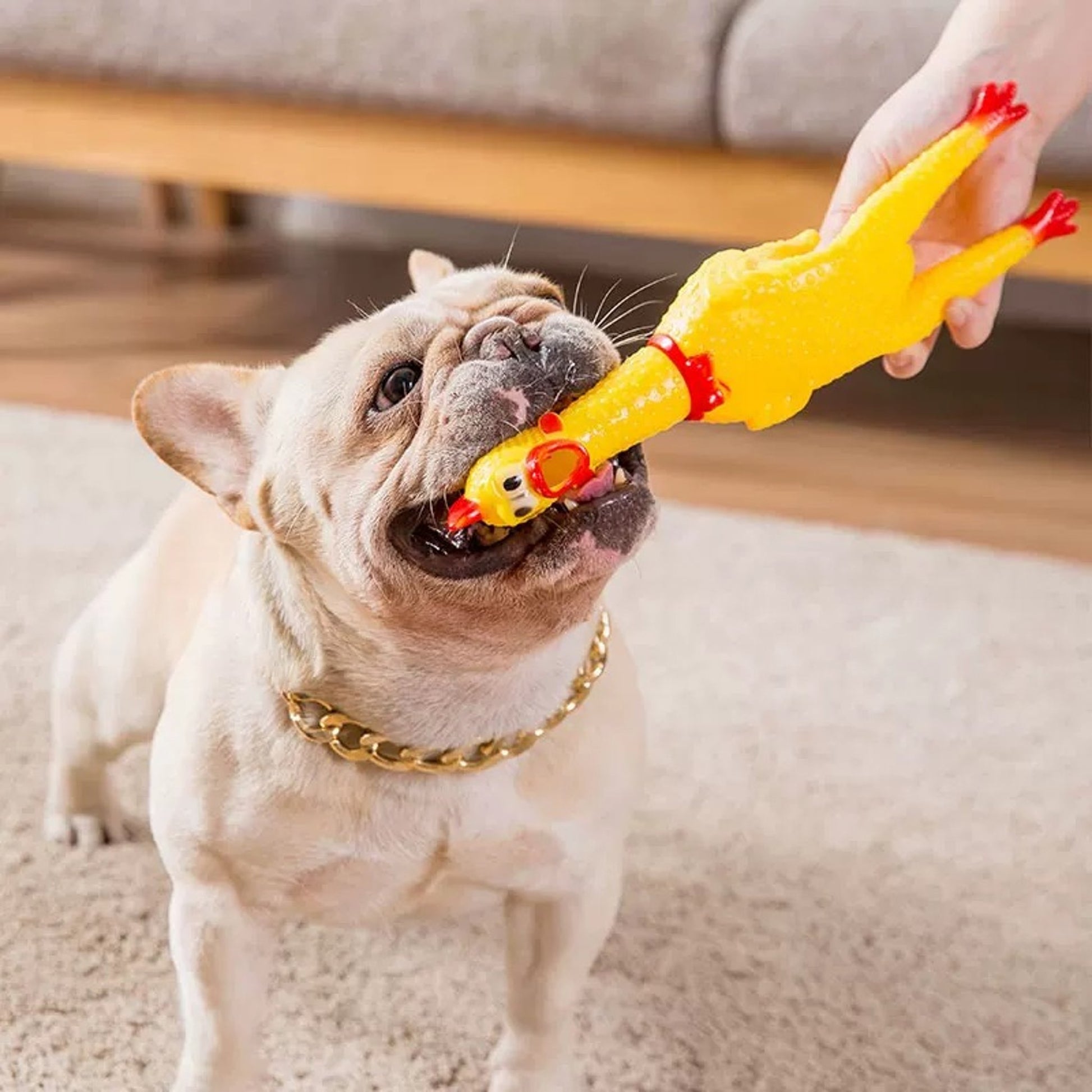 Squeaky Chicken Dog Toy – Durable Latex, Interactive Sound & Chew Toy for Dogs
