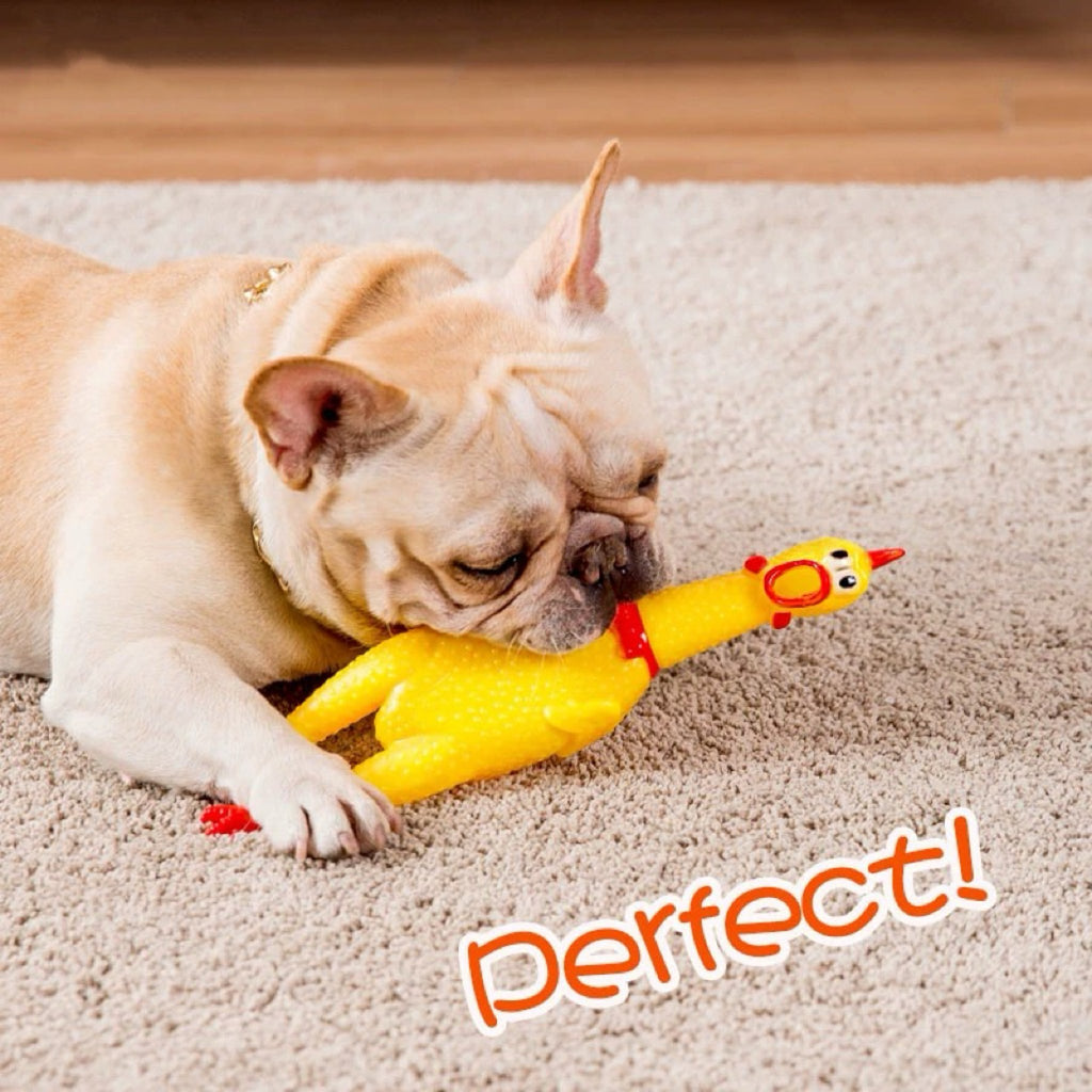 Squeaky Chicken Dog Toy – Durable Latex, Interactive Sound & Chew Toy for Dogs