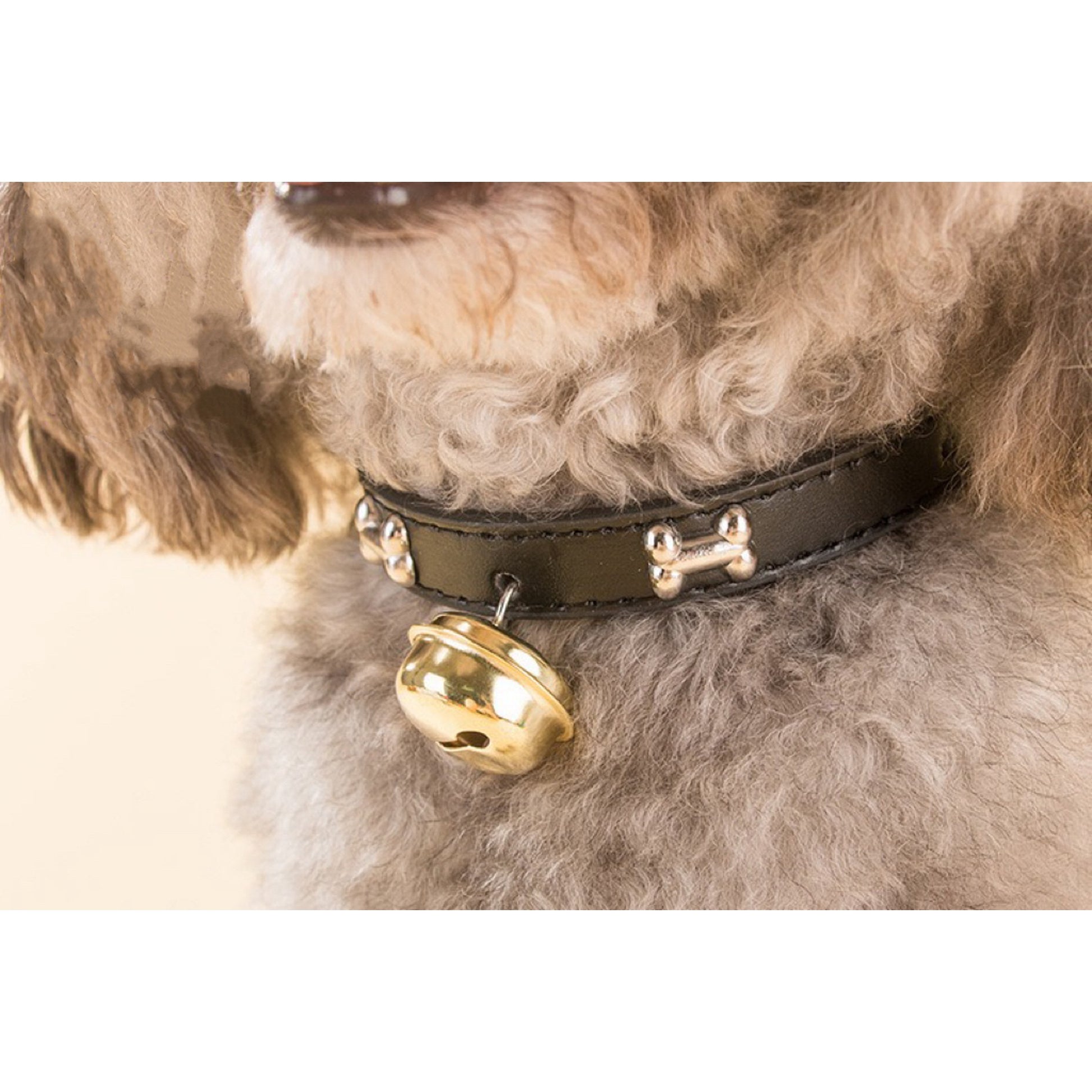 Adjustable Pet Collar with Bell – Cute Bone & Paw Design for Small Dogs & Cats
