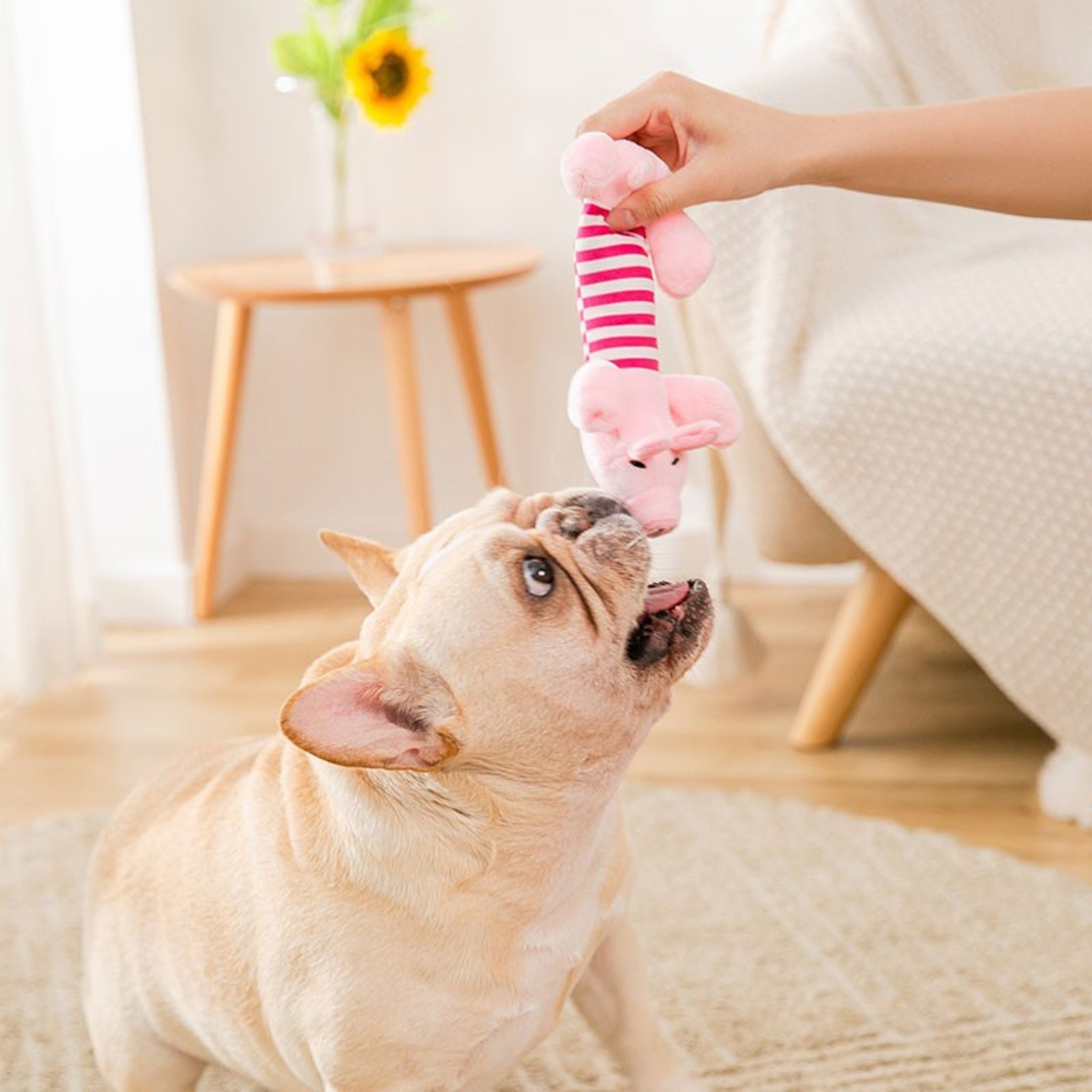 Squeaky Plush Chew Toy – Soft Durable Teething Trainer for Small & Medium Dogs