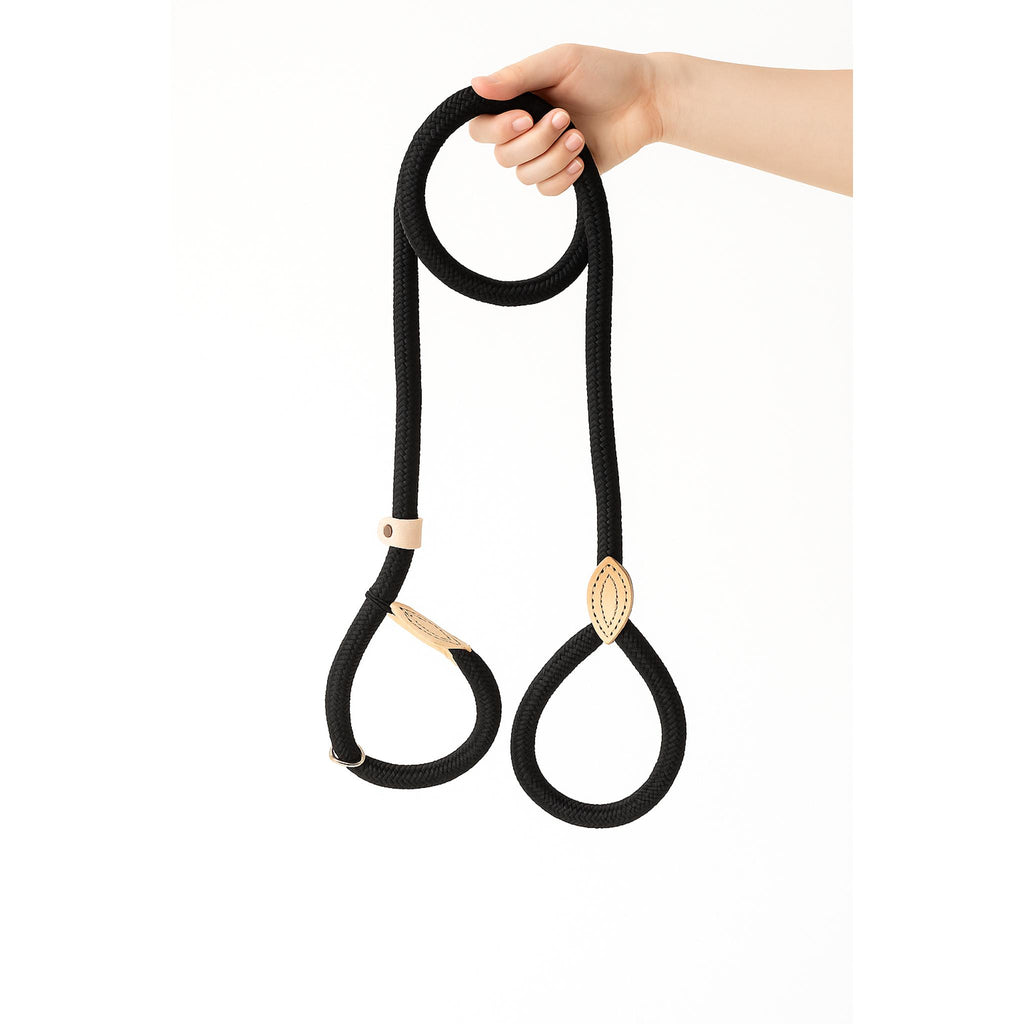 Adjustable Anti-Pull Dog Leash – Braided Nylon Rope, No-Choke, Escape-Proof for Medium & Large Dogs